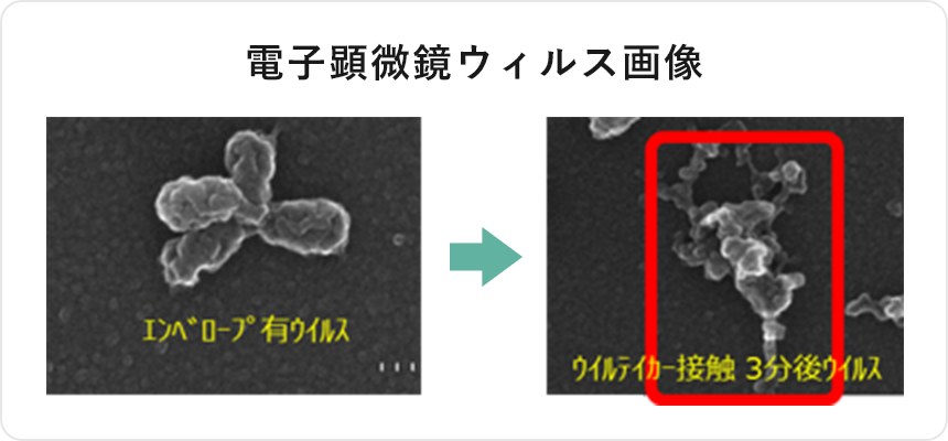 電子顕微鏡ウィルス画像 エンベロープ有ウイルス ウィルテイカー接触3分後ウイルス